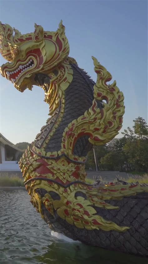 Delving into the Serpent's Wisdom: Exploring .